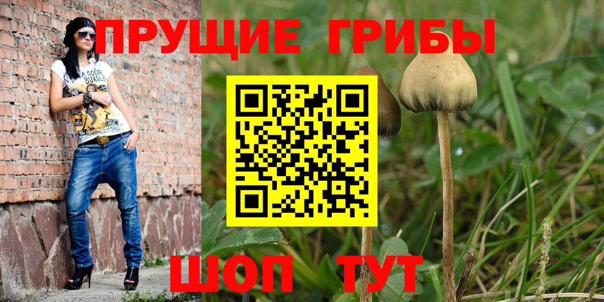ГАШ  Бошки Шишки  Мефедрон   Тверь  Вход с VPN 