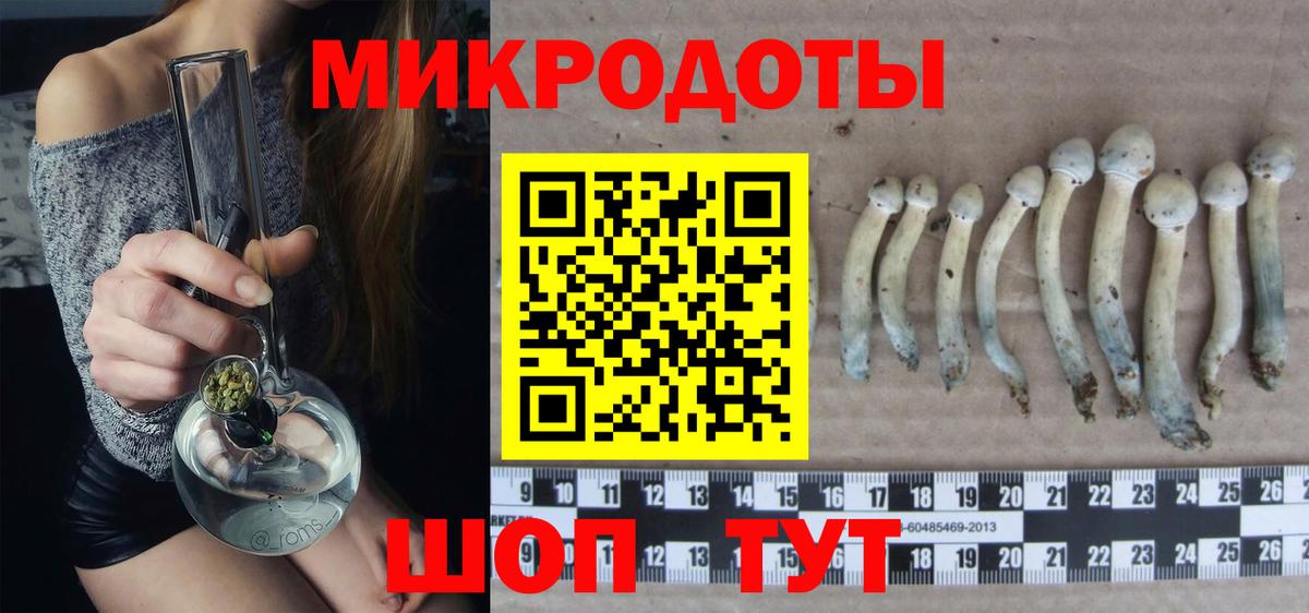 Псилоцибиновые грибы ЛСД  Псилоцибиновые грибы GOLDEN TEACHER  Тверь  Вход с VPN 