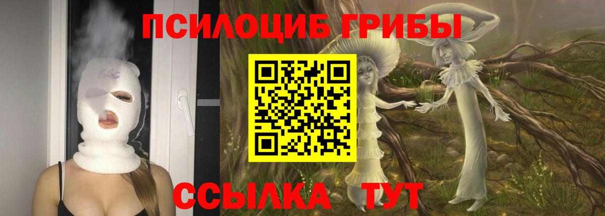 Псилоцибиновые грибы GOLDEN TEACHER Тверь